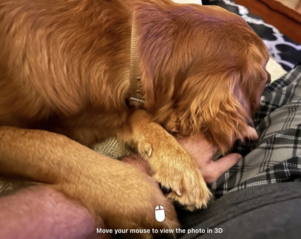 Riley’s Best Day Ever – Sun Dec 10, 2023