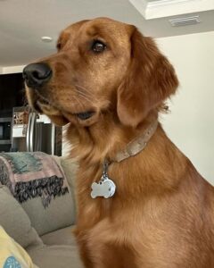 Riley’s Best Day Ever – Thu Feb 1, 2024