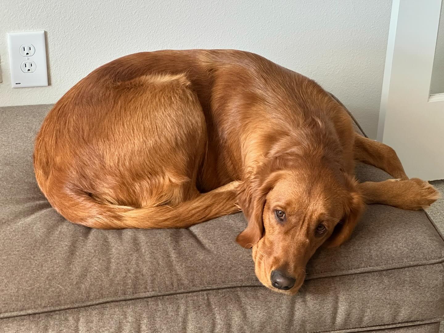 Riley’s Best Day Ever – Sat Feb 3, 2024