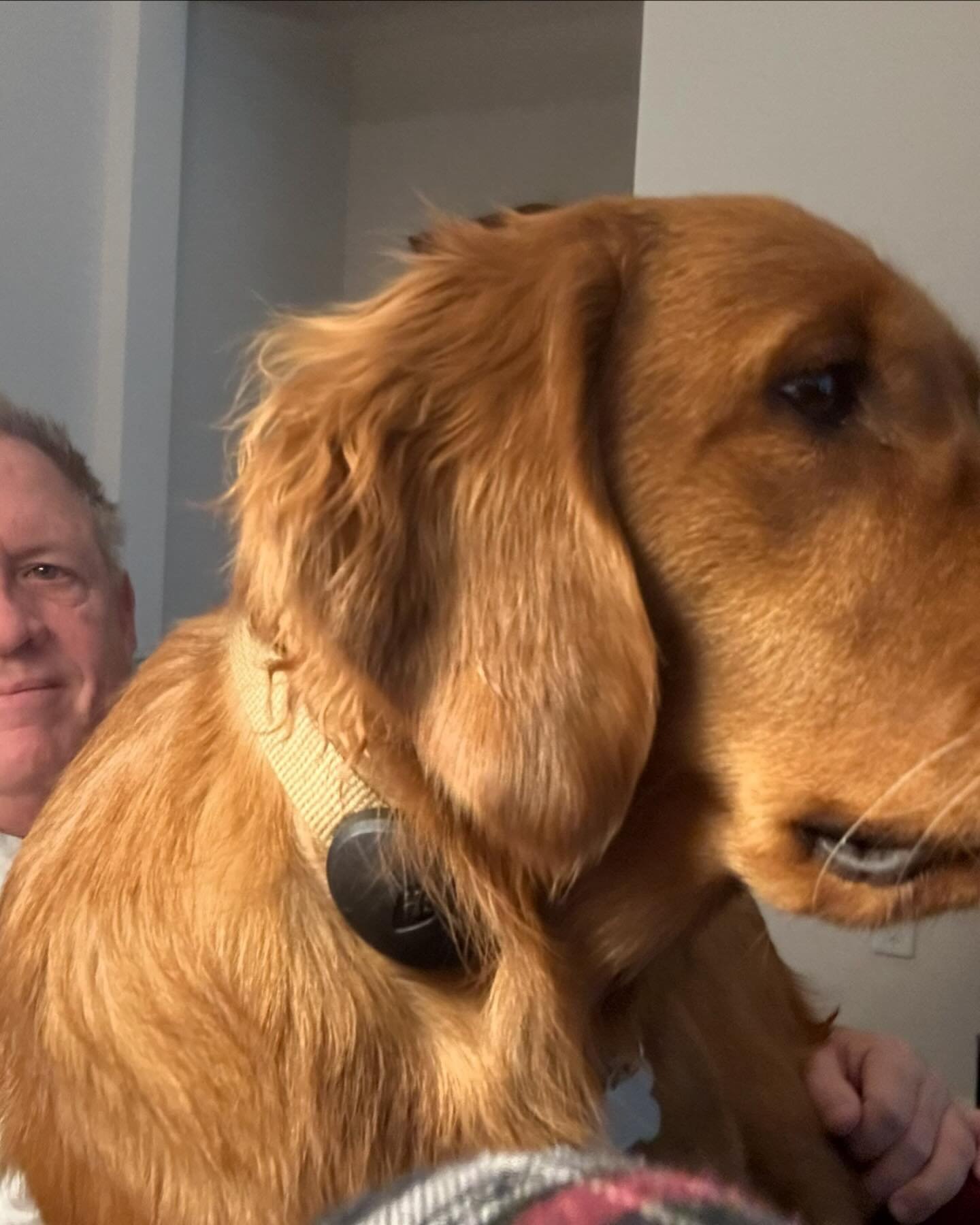 Riley’s Best Day Ever – Mon Feb 5, 2024