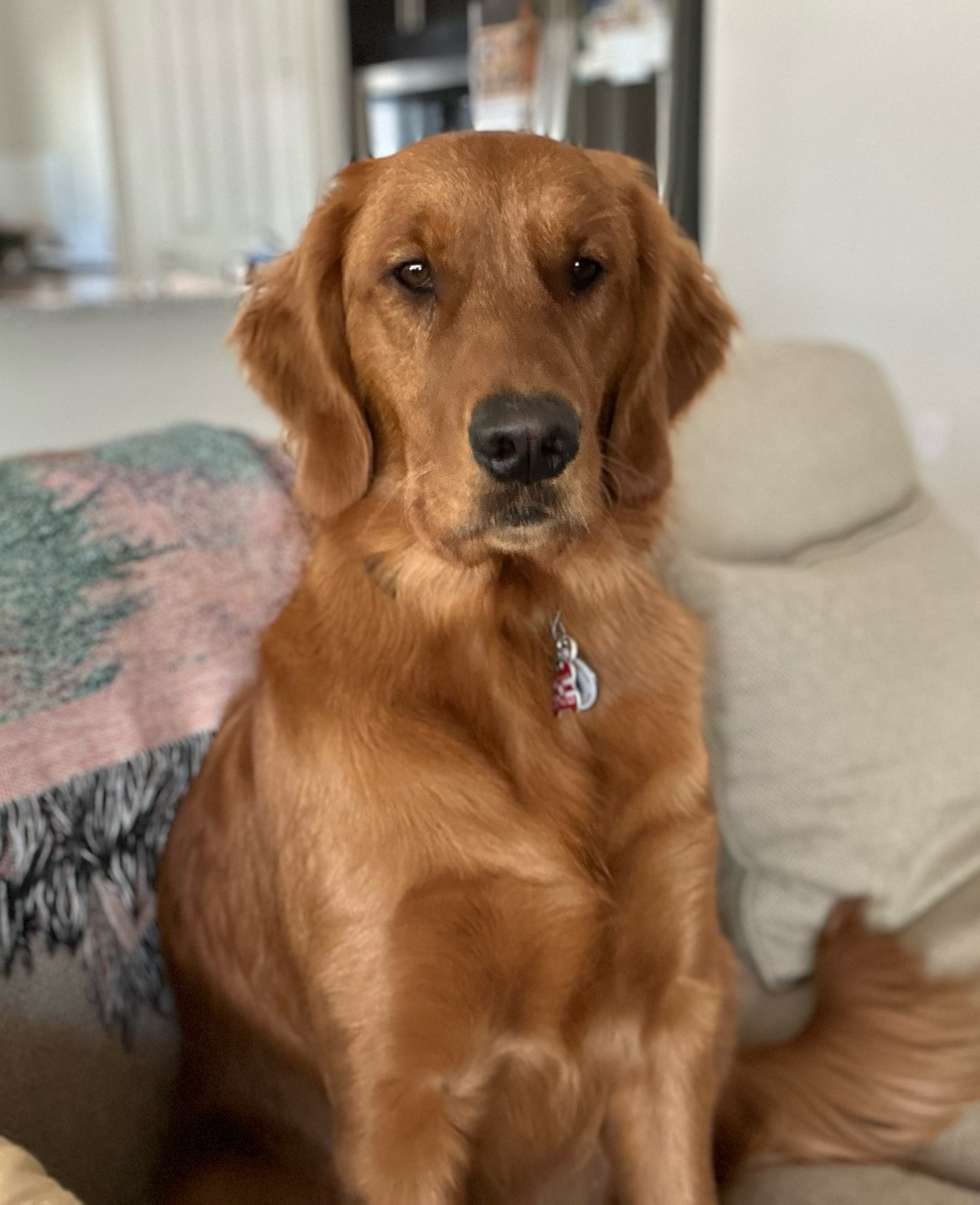 Riley’s Best Day Ever – Tues Feb 6, 2024