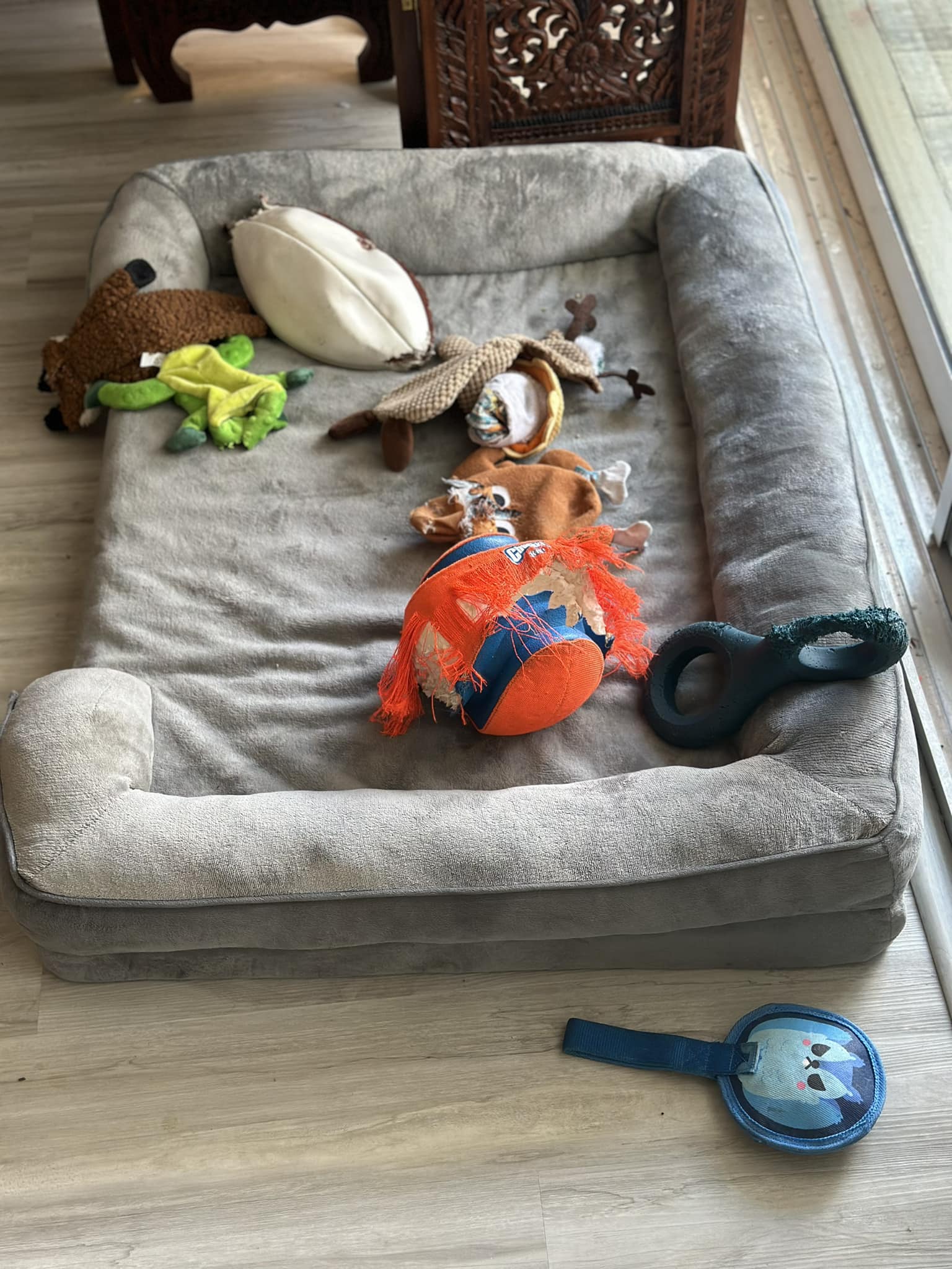 Riley’s Best Day Ever – Thu Feb 8, 2024