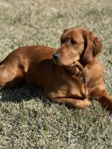 Riley’s Best Day Ever – Sat Feb 10, 2024