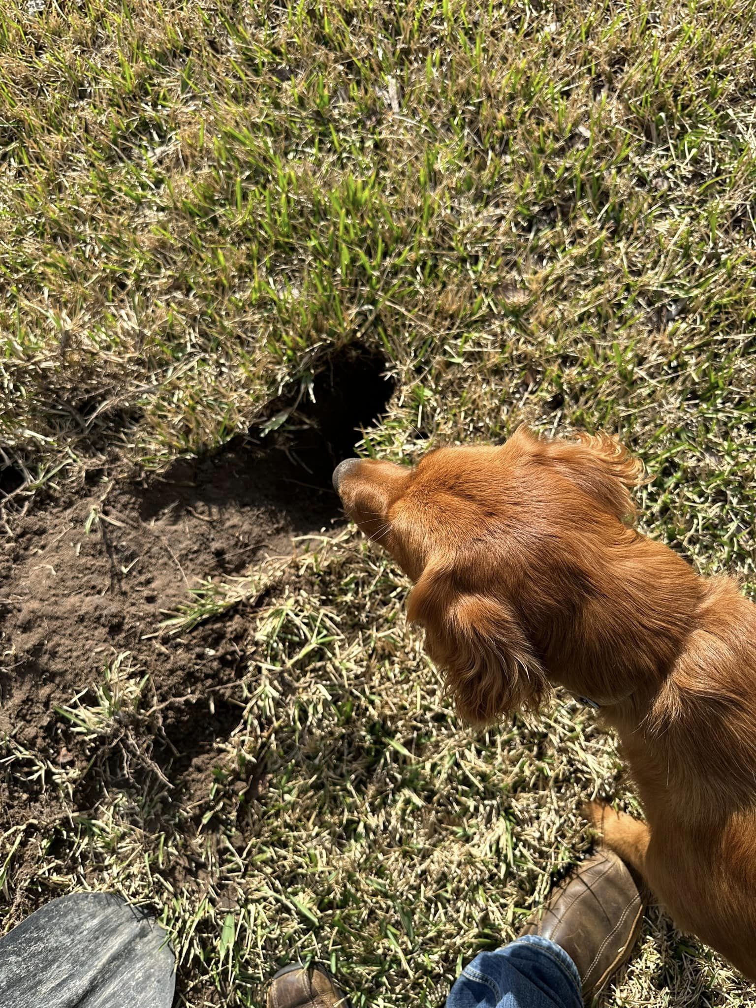Riley’s Best Day Ever – Sun Feb 11, 2024