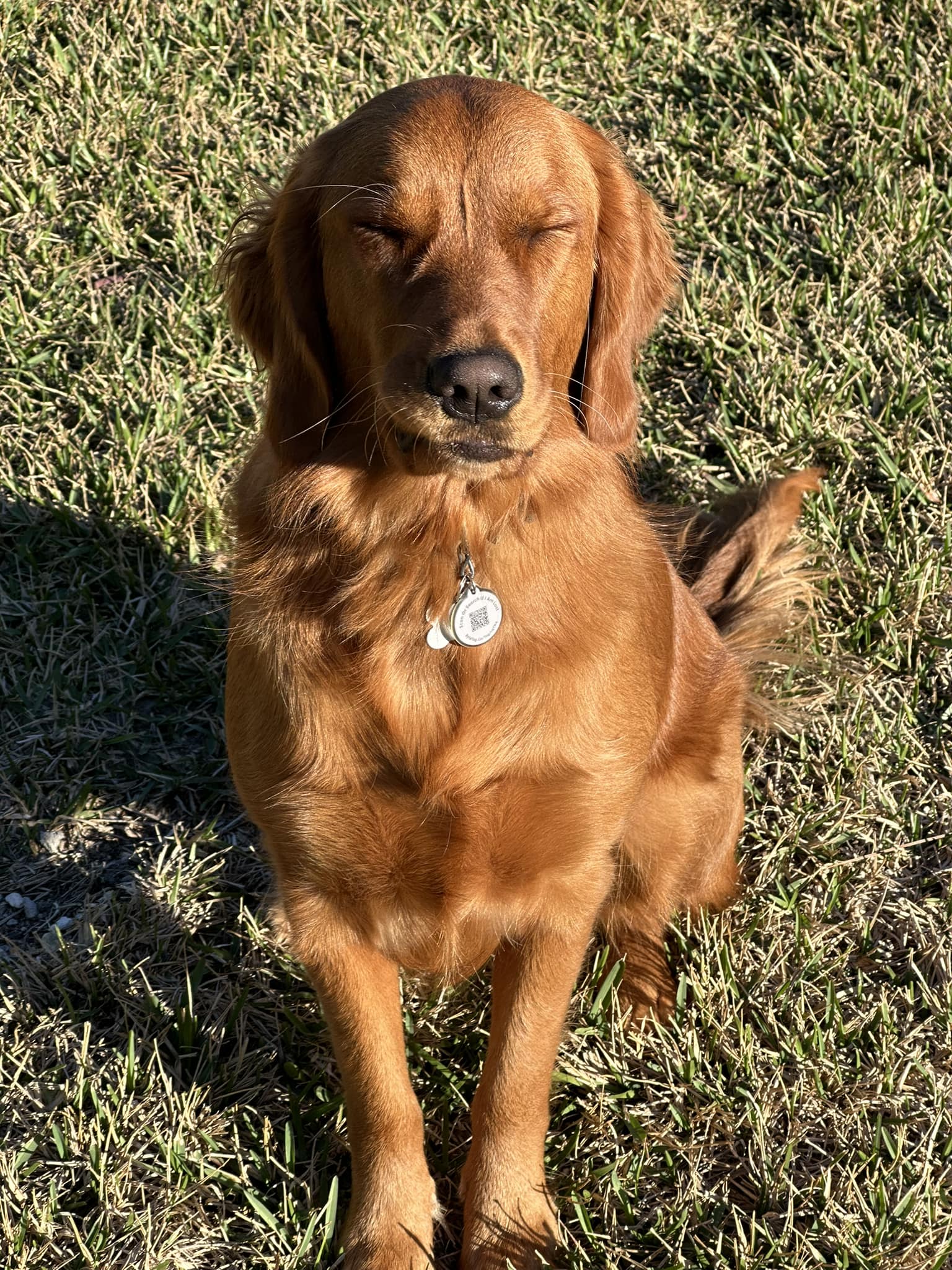 Riley’s Best Day Ever – Tue Feb 20, 2024