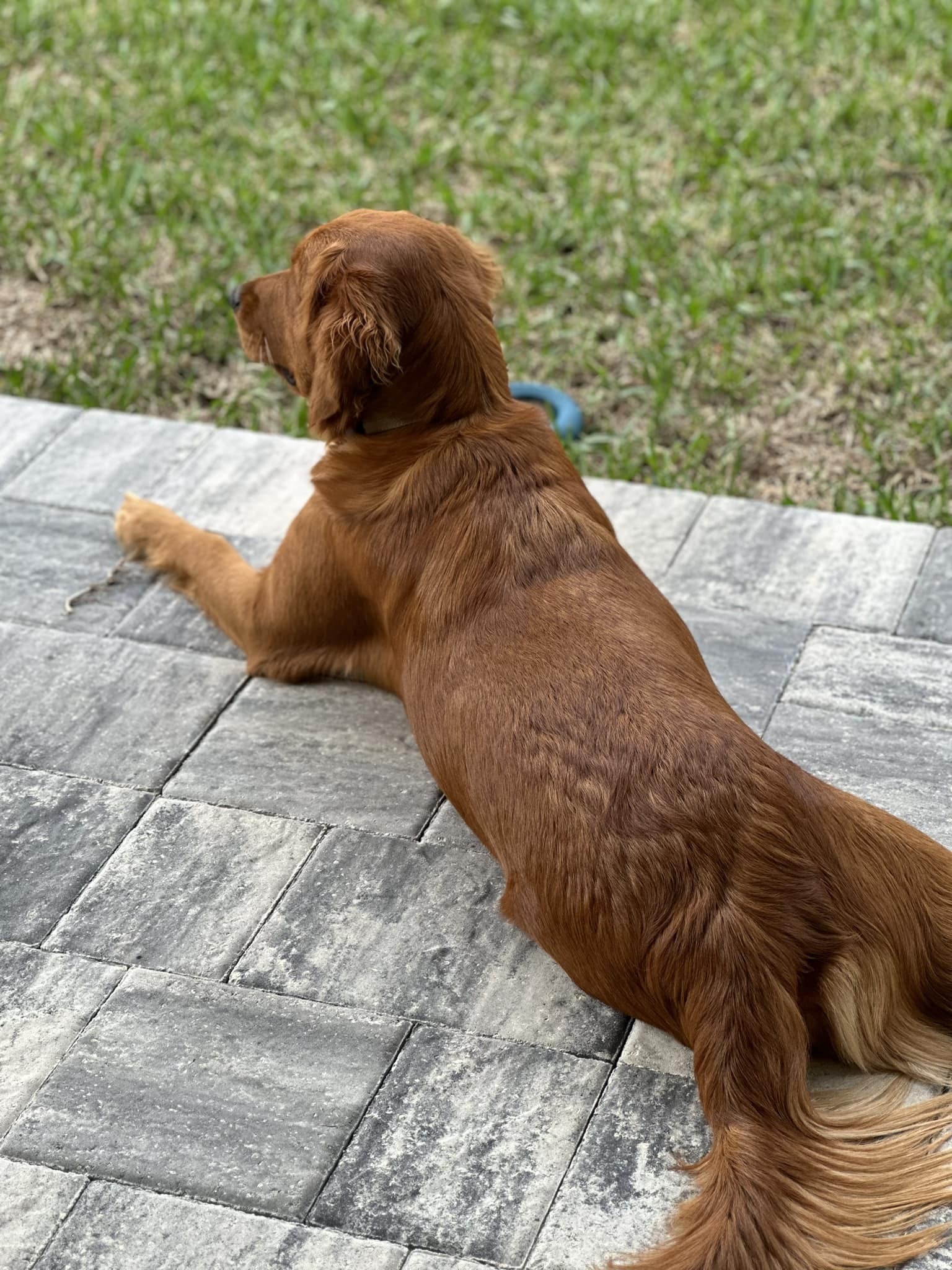 Riley’s Best Day Ever – Thu Feb 22, 2024