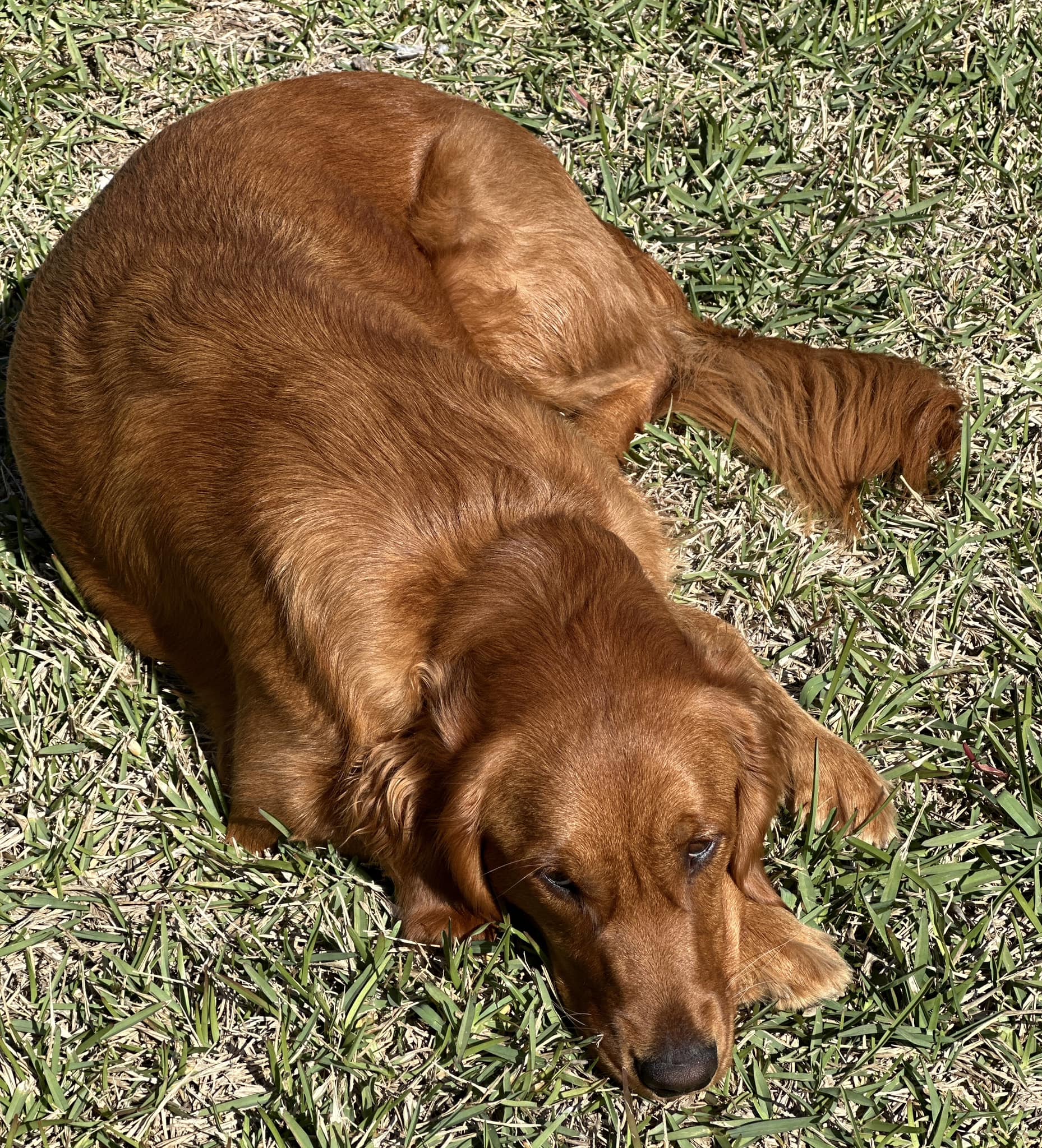 Riley’s Best Day Ever – Mon Feb 26, 2024