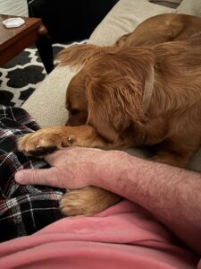 Riley’s Best Day Ever – Tue Feb 27, 2024