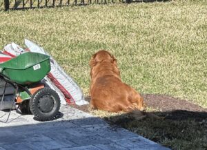 Riley’s Best Day Ever – Thu Feb 29, 2024