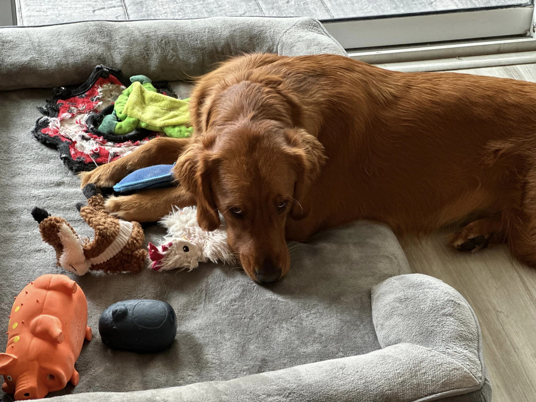 Riley’s Best Day Ever – Sun Mar 03, 2024