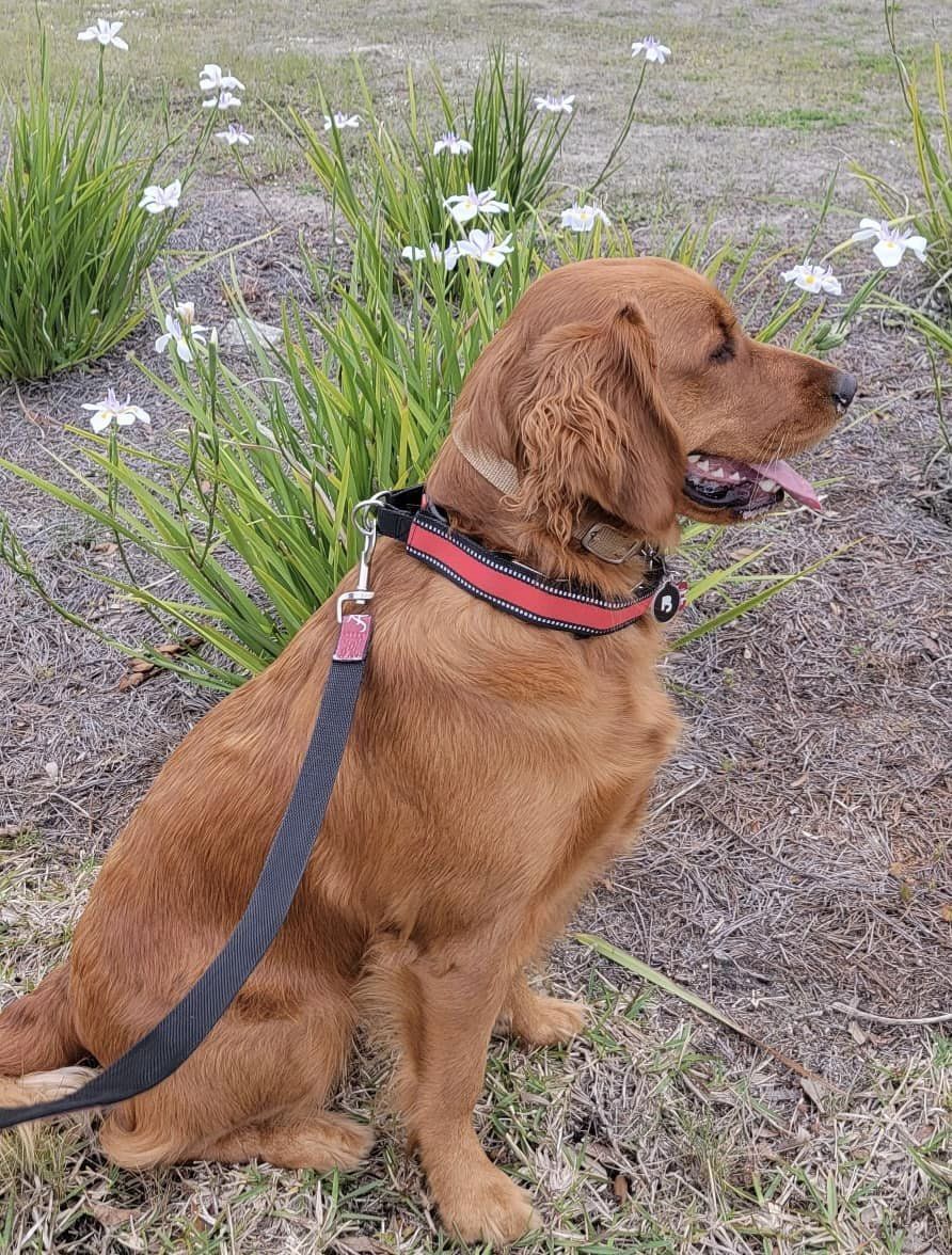 Riley’s Best Day Ever – Wed Mar 06, 2024