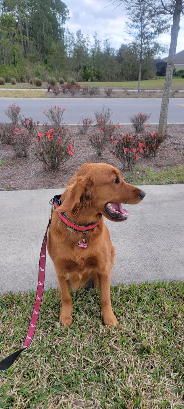 Riley’s Best Day Ever – Sat Mar 09, 2024