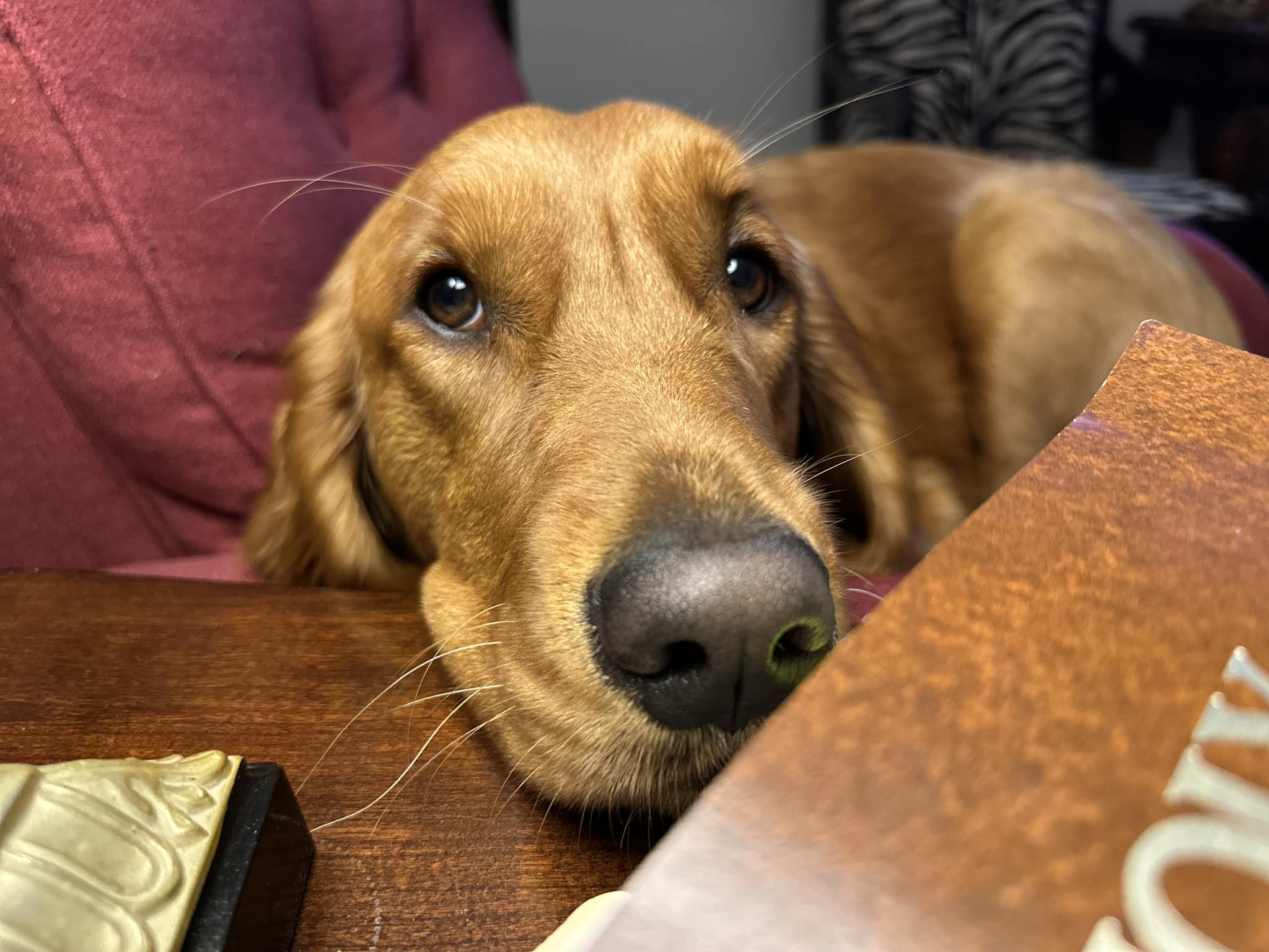 Riley’s Best Day Ever – Mon Mar 11, 2024