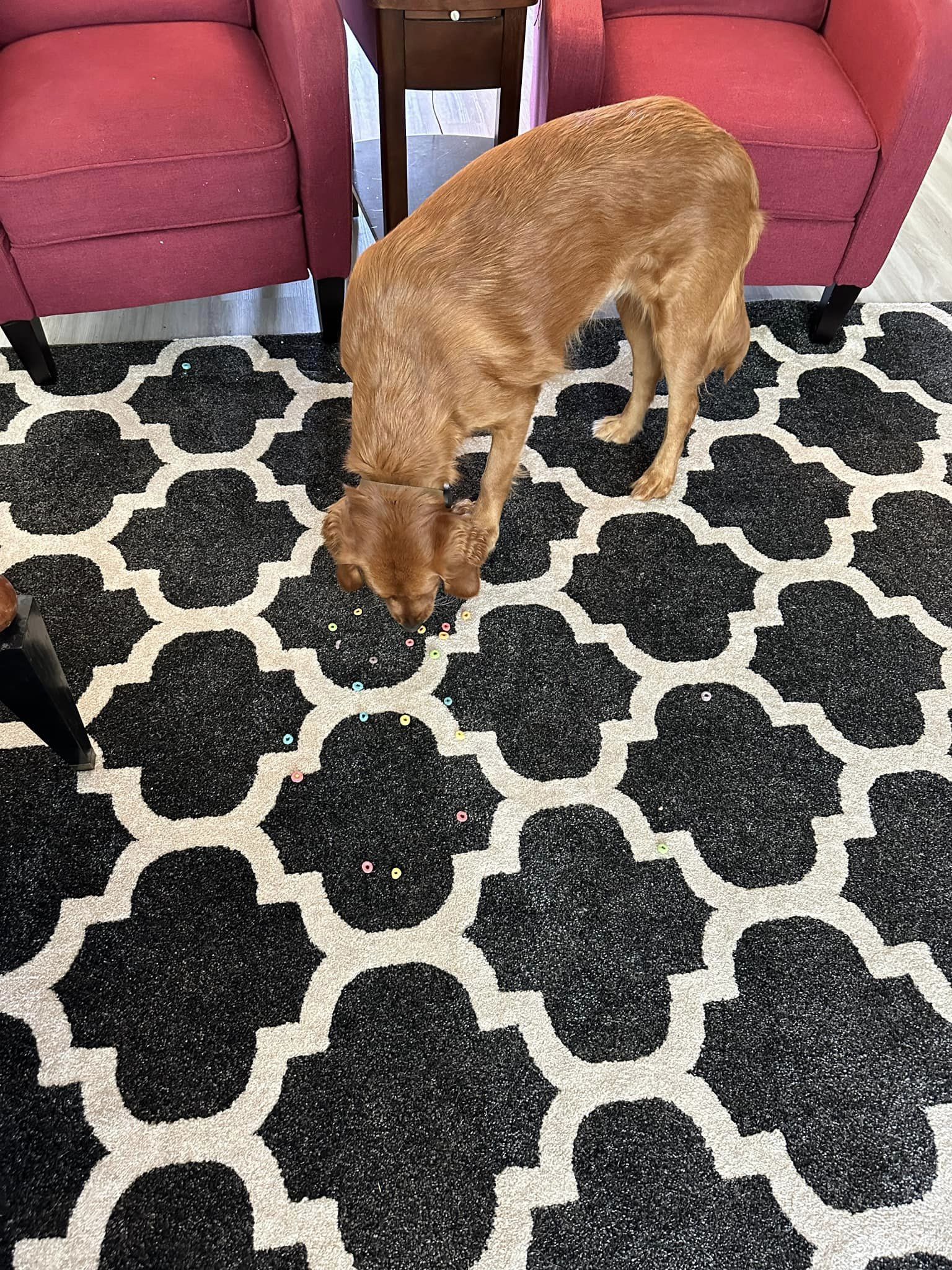Riley’s Best Day Ever – Tue Mar 12, 2024