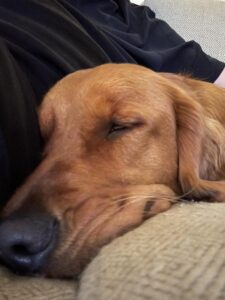 Riley’s Best Day Ever – Wed Mar 13, 2024