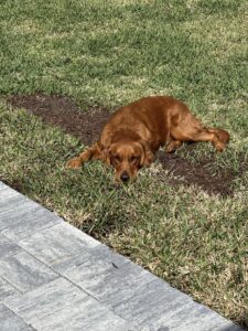 Riley’s Best Day Ever – Thu Mar 14, 2024