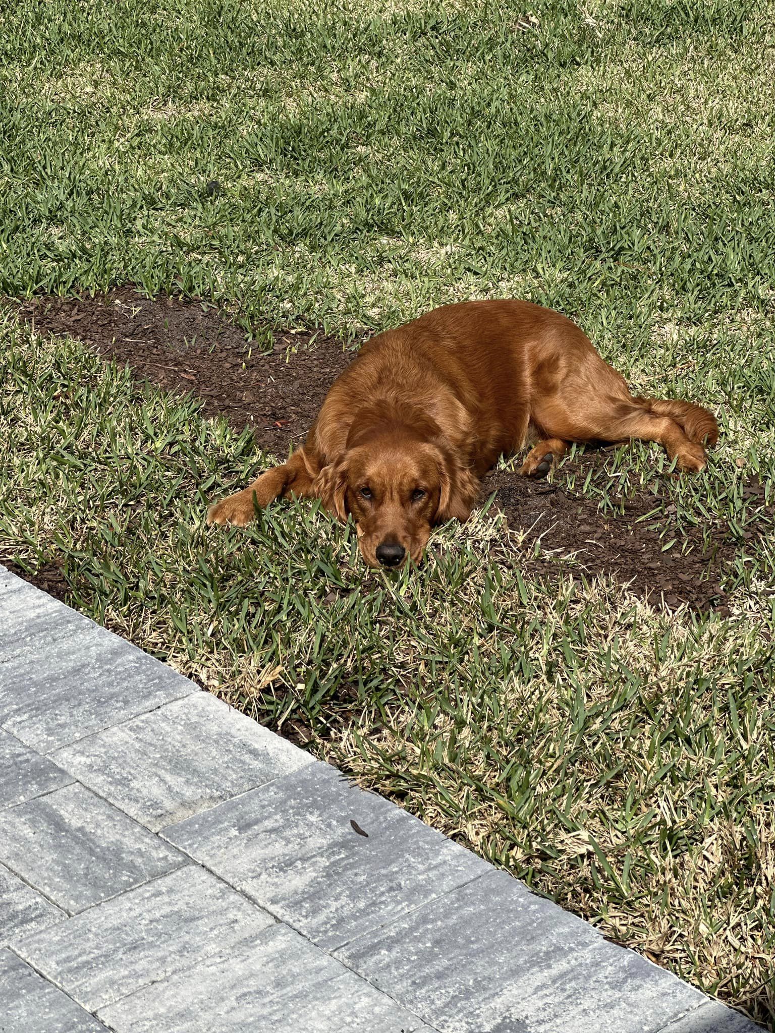 Riley’s Best Day Ever – Thu Mar 14, 2024