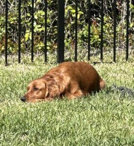 Riley’s Best Day Ever – Fri Mar 22, 2024