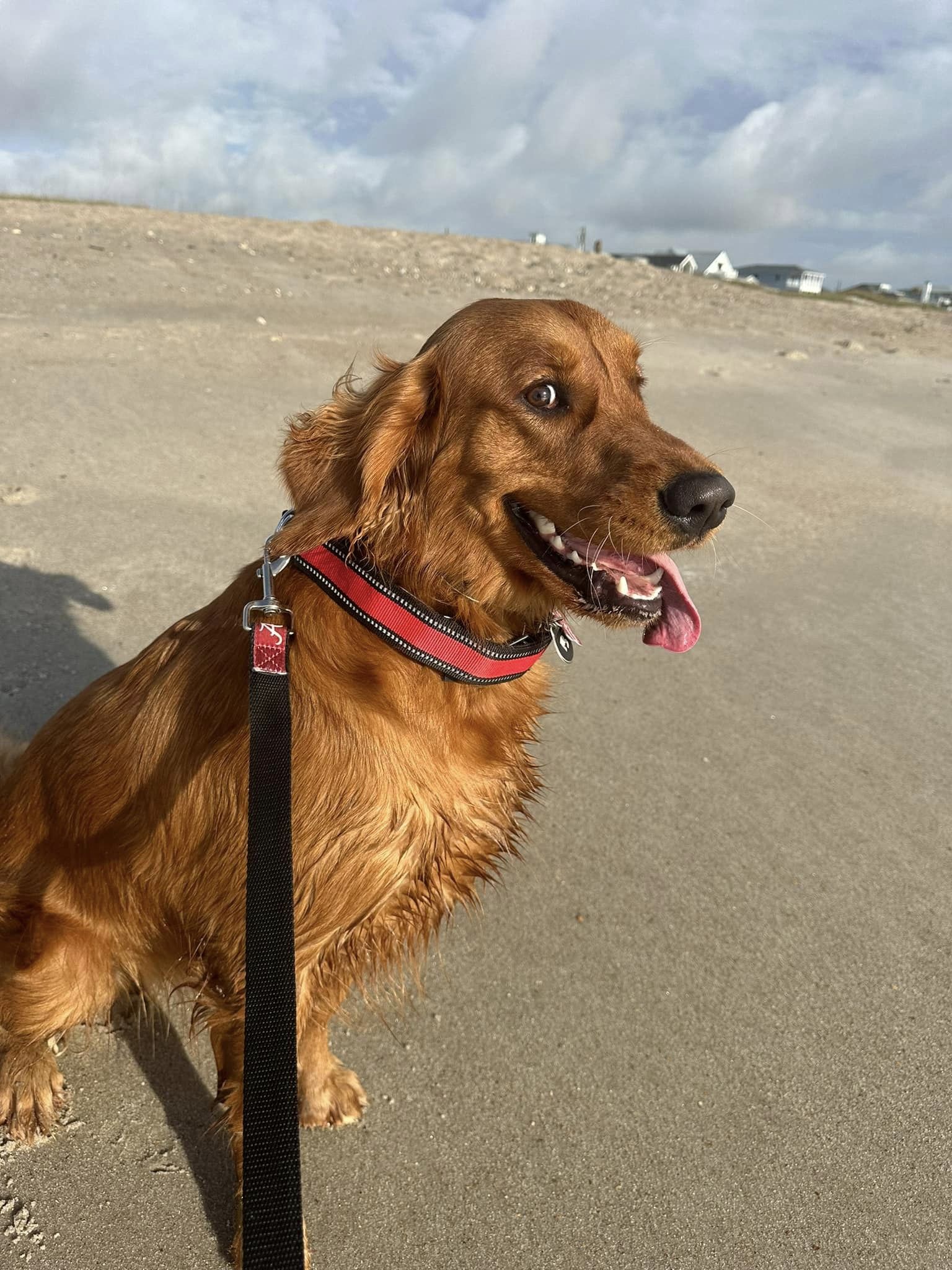 Riley’s Best Day Ever – Sun Mar 24, 2024