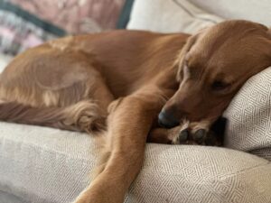 Riley’s Best Day Ever – Fri Mar 29, 2024
