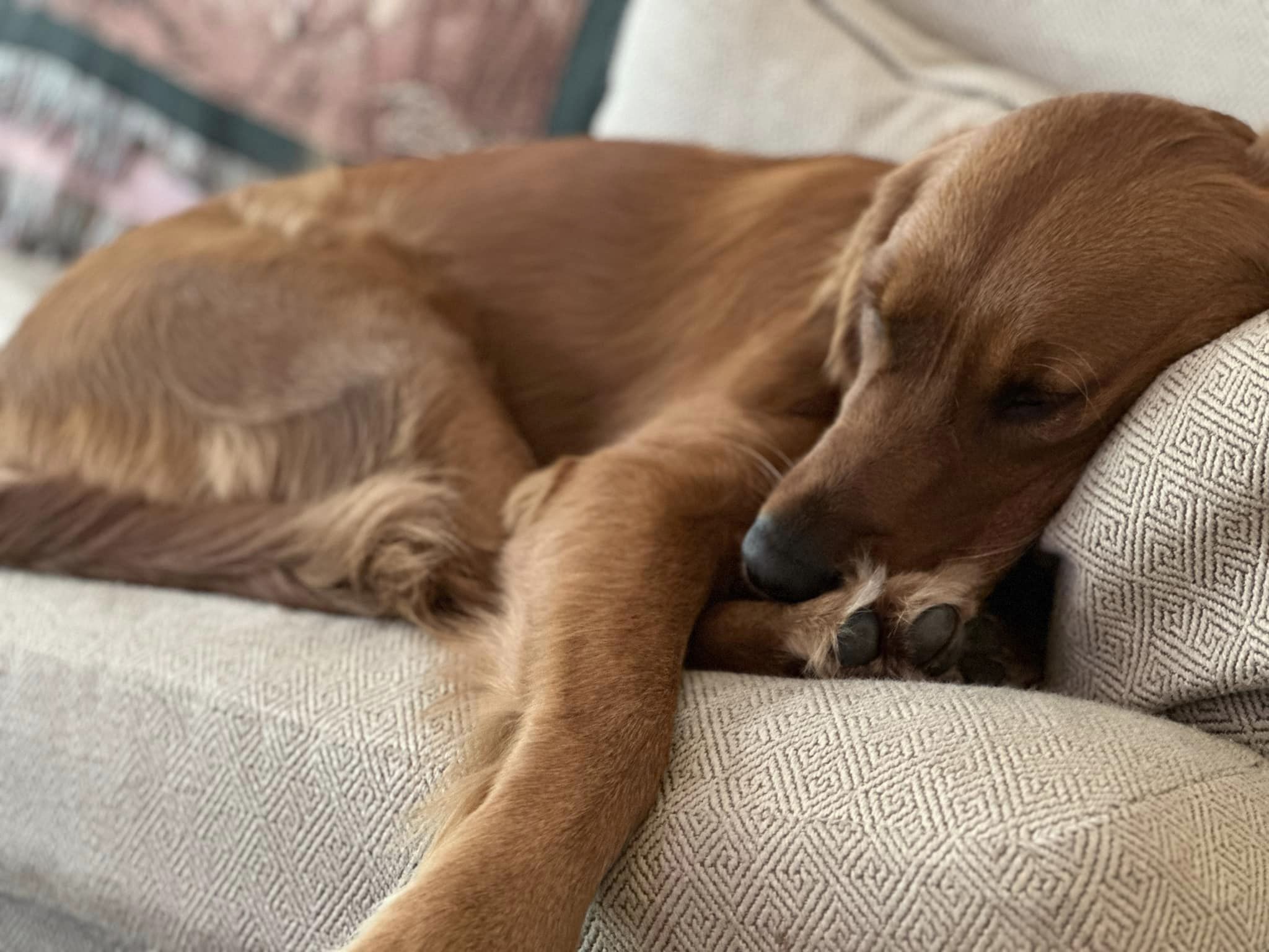 Riley’s Best Day Ever – Fri Mar 29, 2024