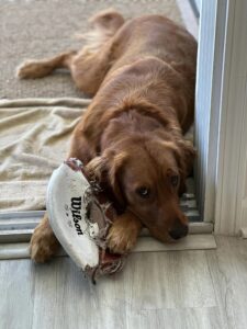 Riley’s Best Day Ever – Sat Mar 30, 2024