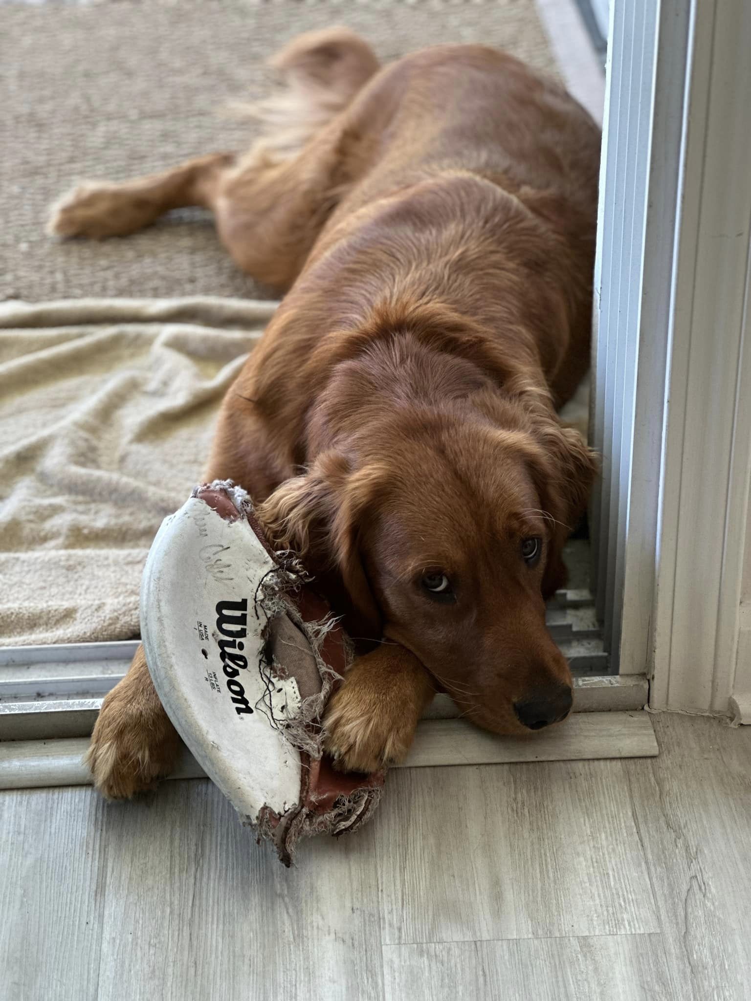 Riley’s Best Day Ever – Sat Mar 30, 2024