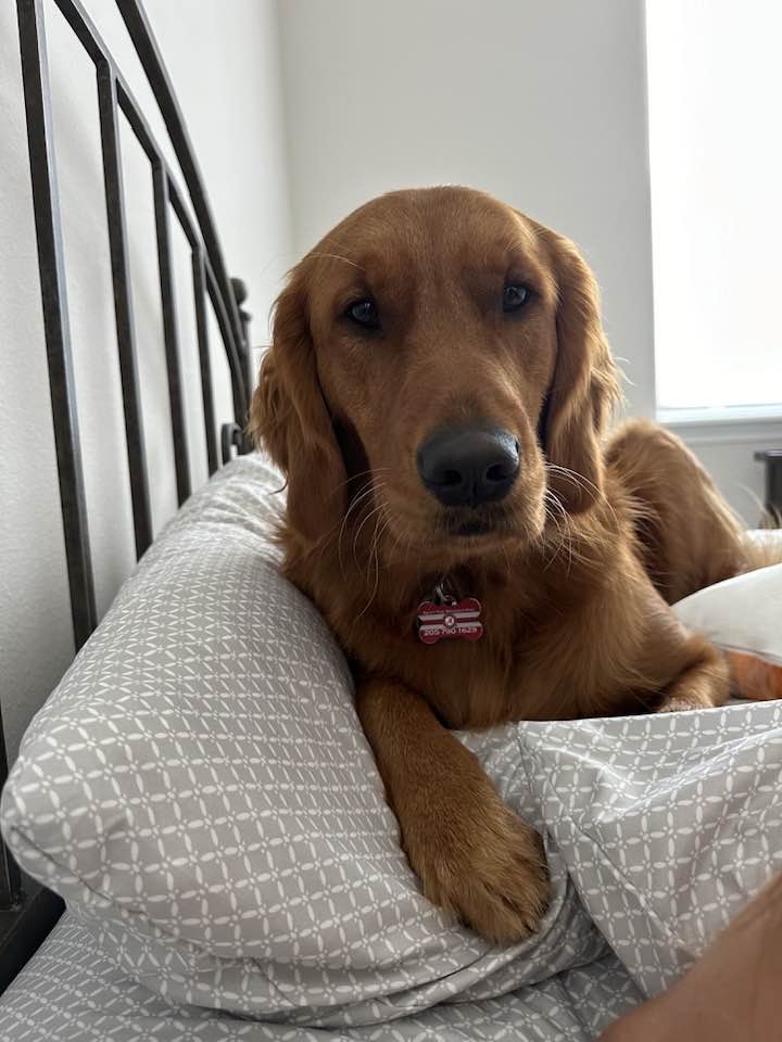 The “Best Of” Riley’s Posts – March 2024