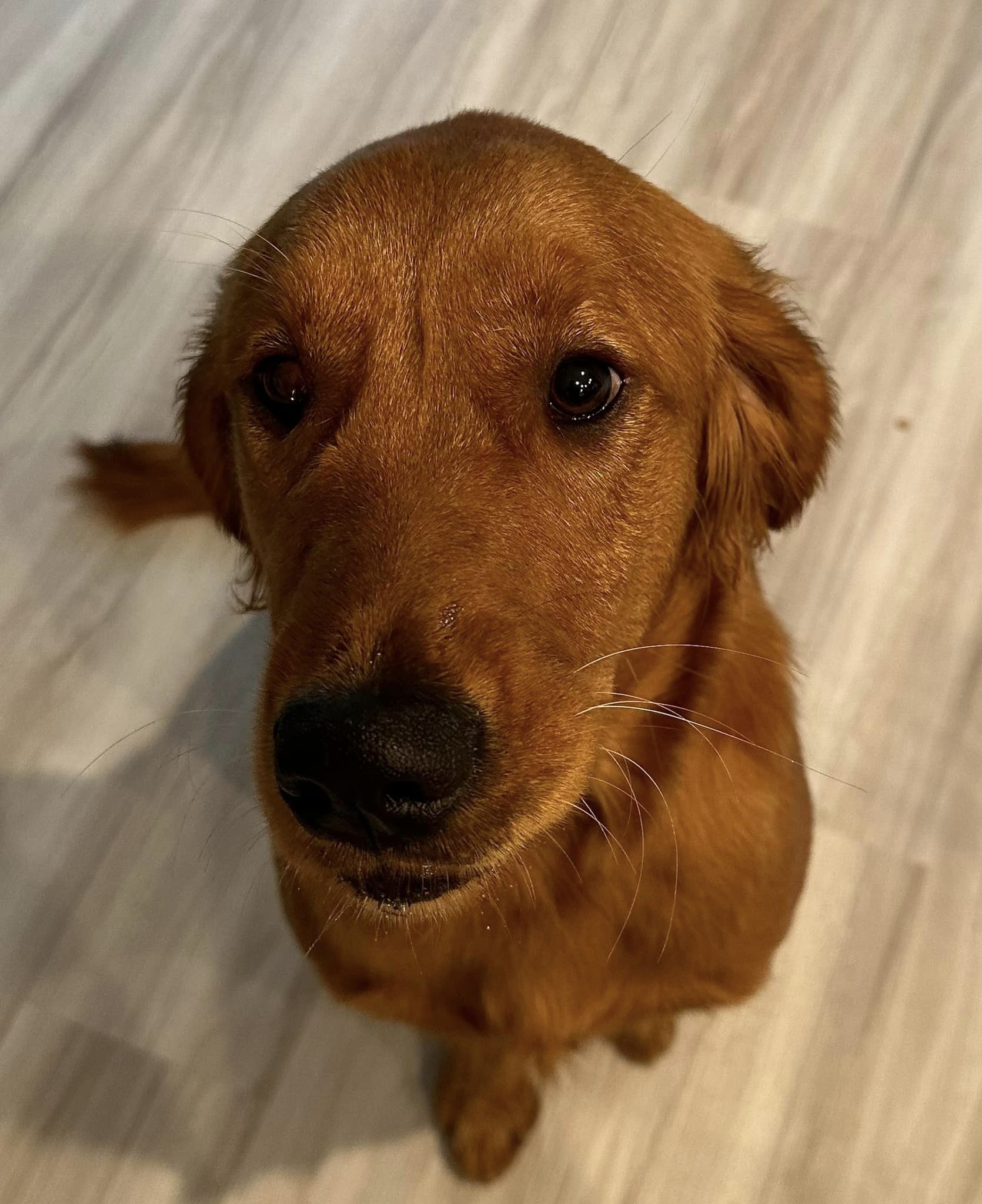 Riley’s Best Day Ever – Wed Nov 1, 2023