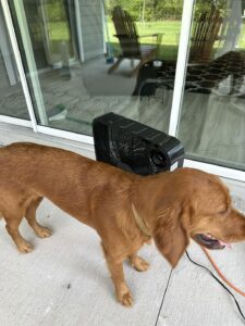 Riley’s Best Day Ever – Sat Nov 4, 2023