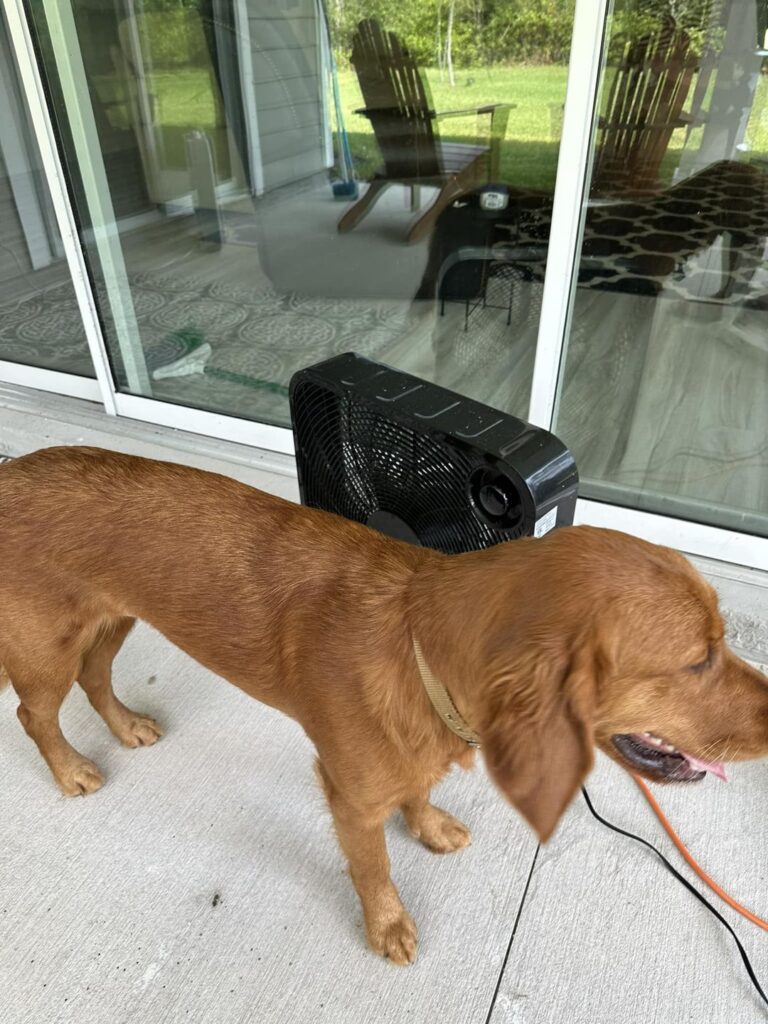 Riley’s Best Day Ever – Sat Nov 4, 2023