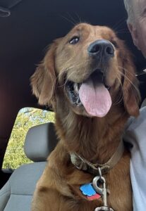 Riley’s Best Day Ever – Mon Nov 6, 2023