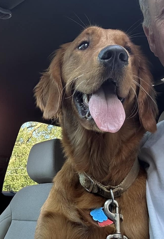 Riley’s Best Day Ever – Mon Nov 6, 2023