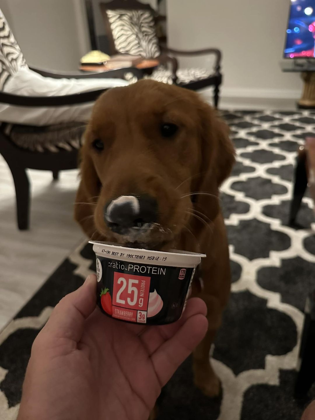 Riley’s Best Day Ever – Tue Nov 7, 2023