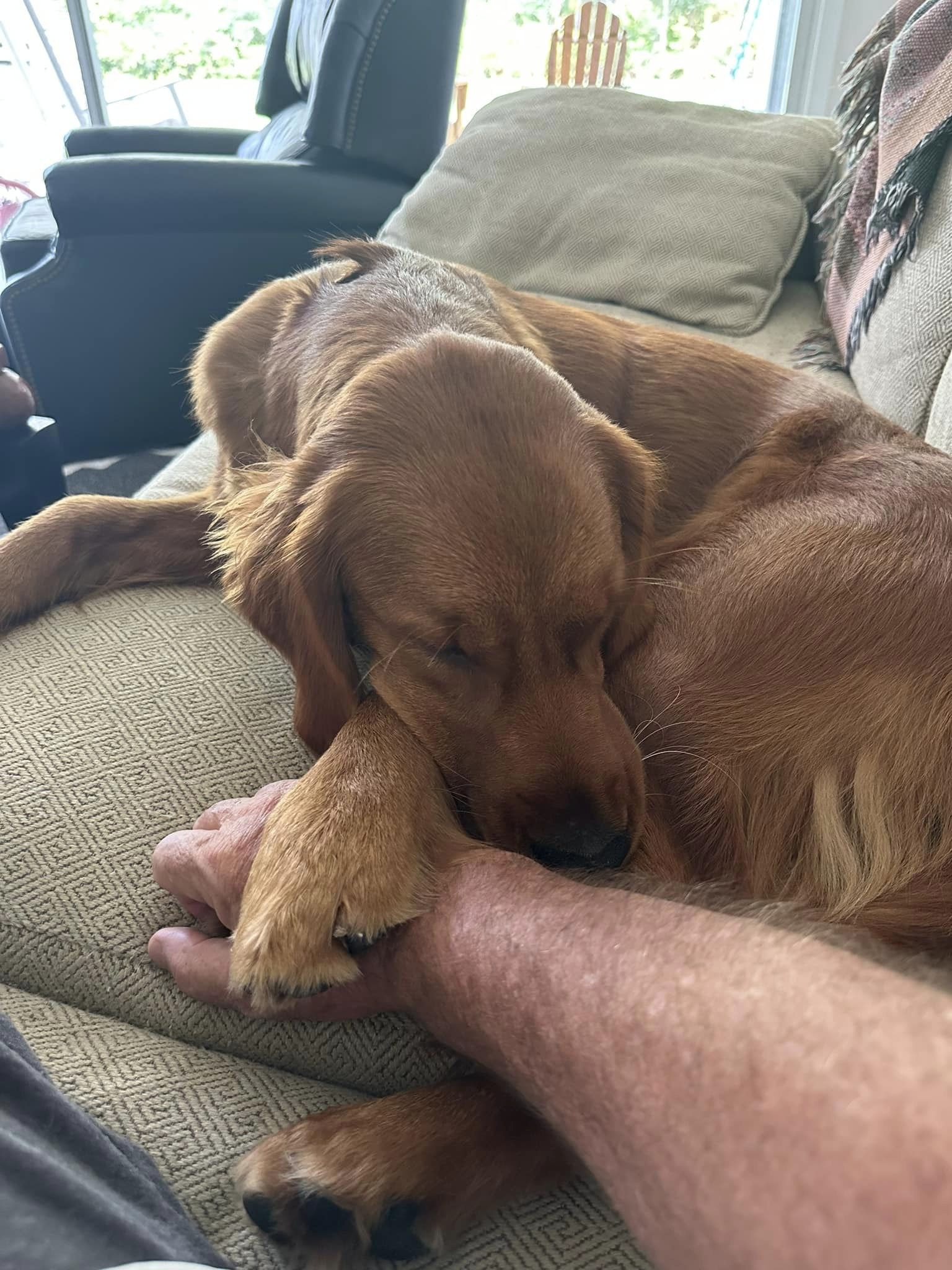 Riley’s Best Day Ever – Wed Nov 8, 2023