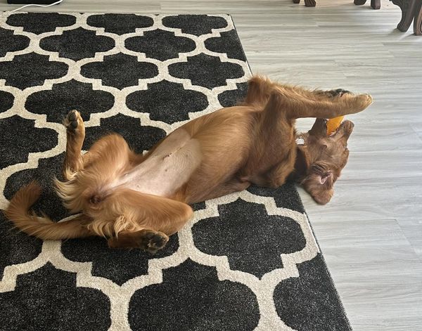 Riley’s Best Day Ever – Fri Nov 10, 2023