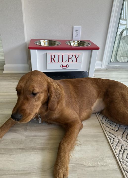 Riley’s Best Day Ever – Sat Nov 11, 2023