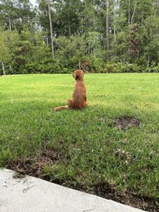 Riley’s Best Day Ever – Thu Nov 16, 2023