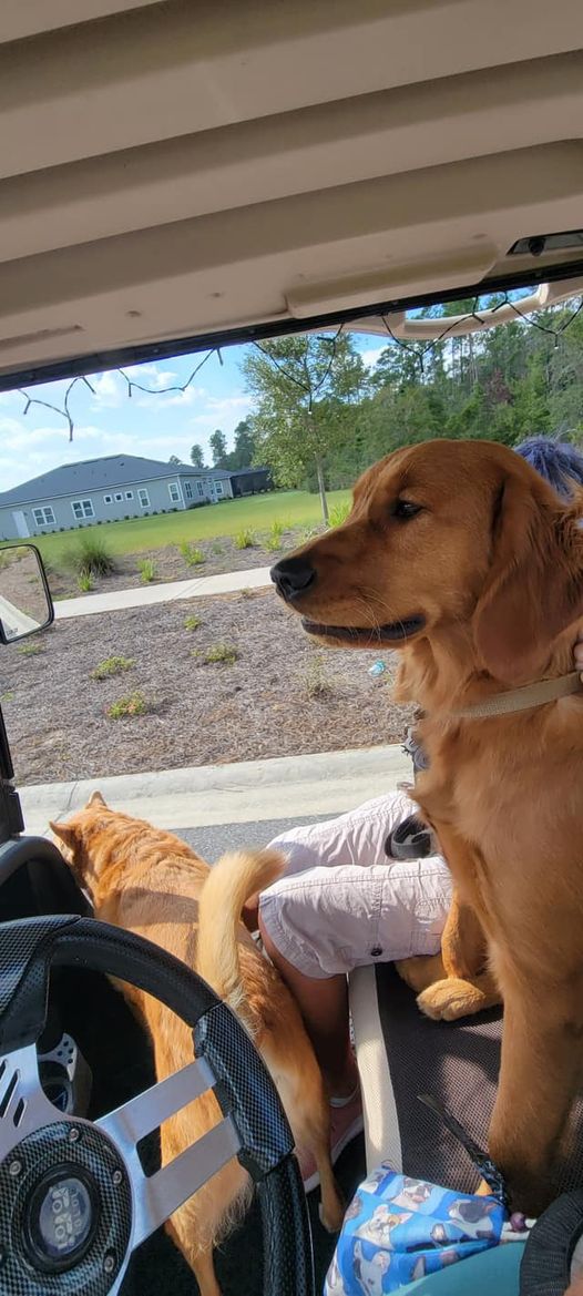 Riley’s Best Day Ever – Tue Nov 14, 2023