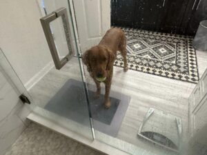 Riley’s Best Day Ever – Wed Nov 15, 2023