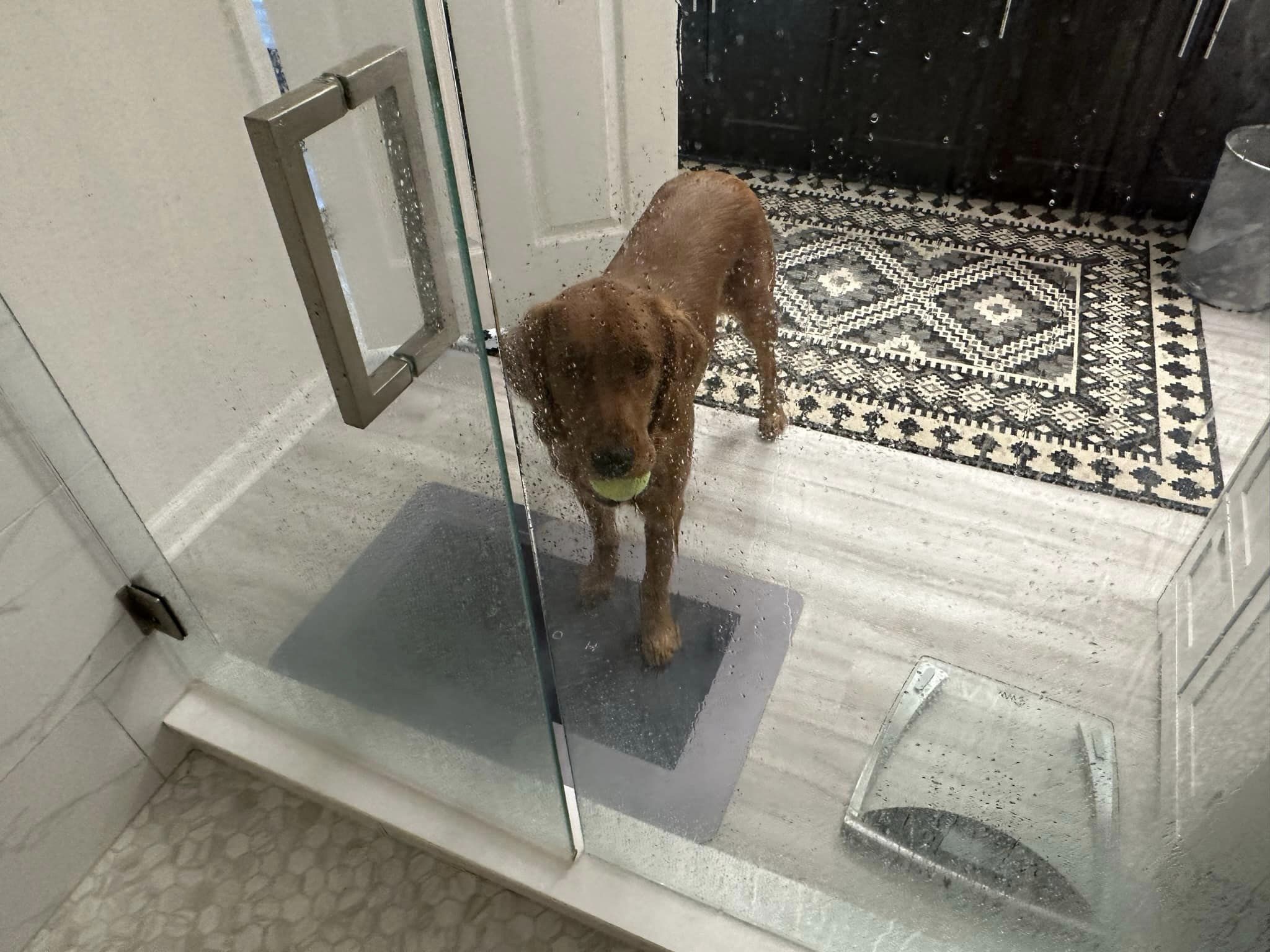 Riley’s Best Day Ever – Wed Nov 15, 2023