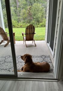 Riley’s Best Day Ever – Sat Nov 18, 2023