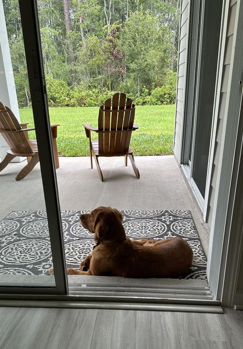 Riley’s Best Day Ever – Sat Nov 18, 2023