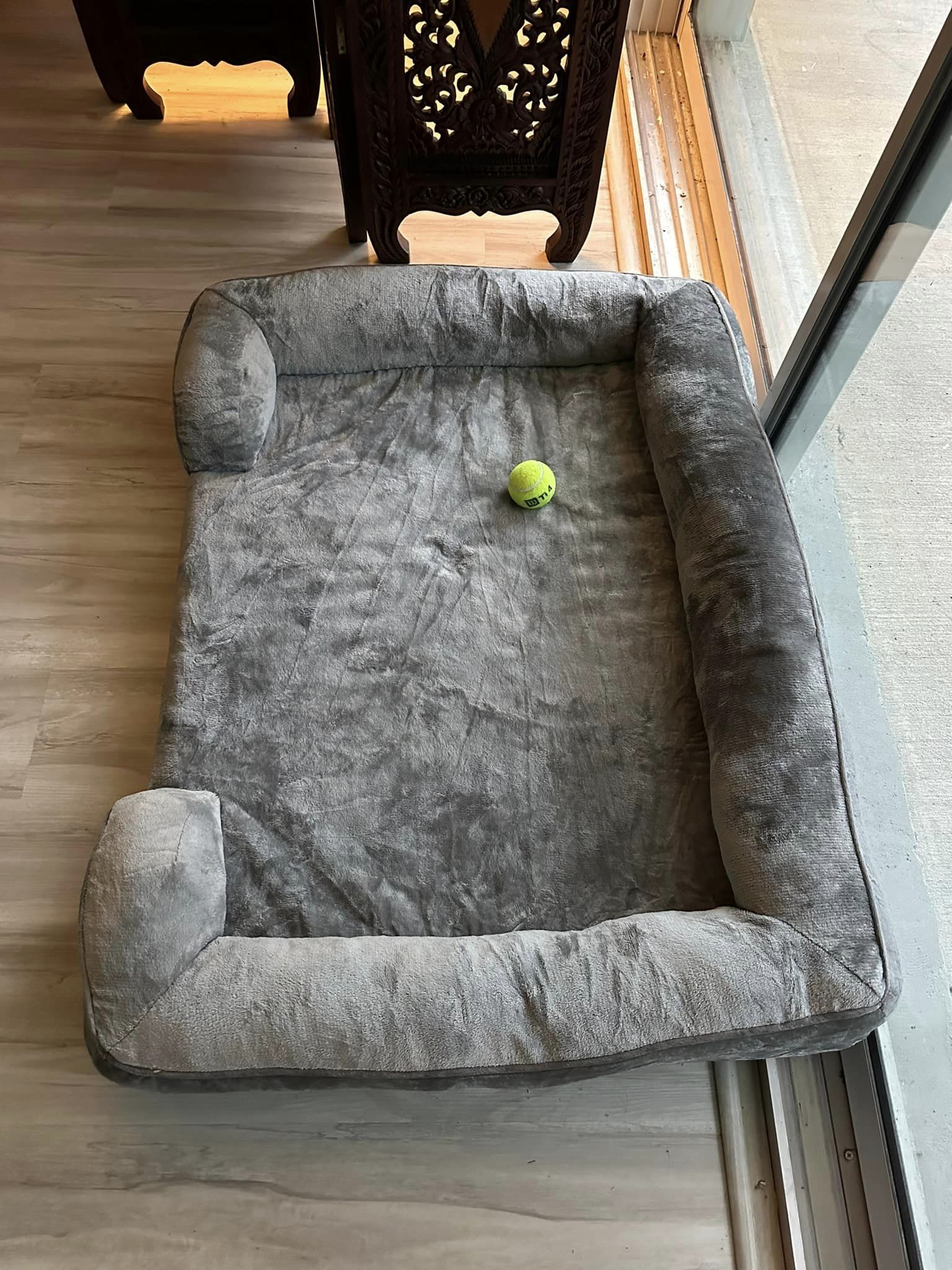 Riley’s Best Day Ever – Sun Nov 19, 2023