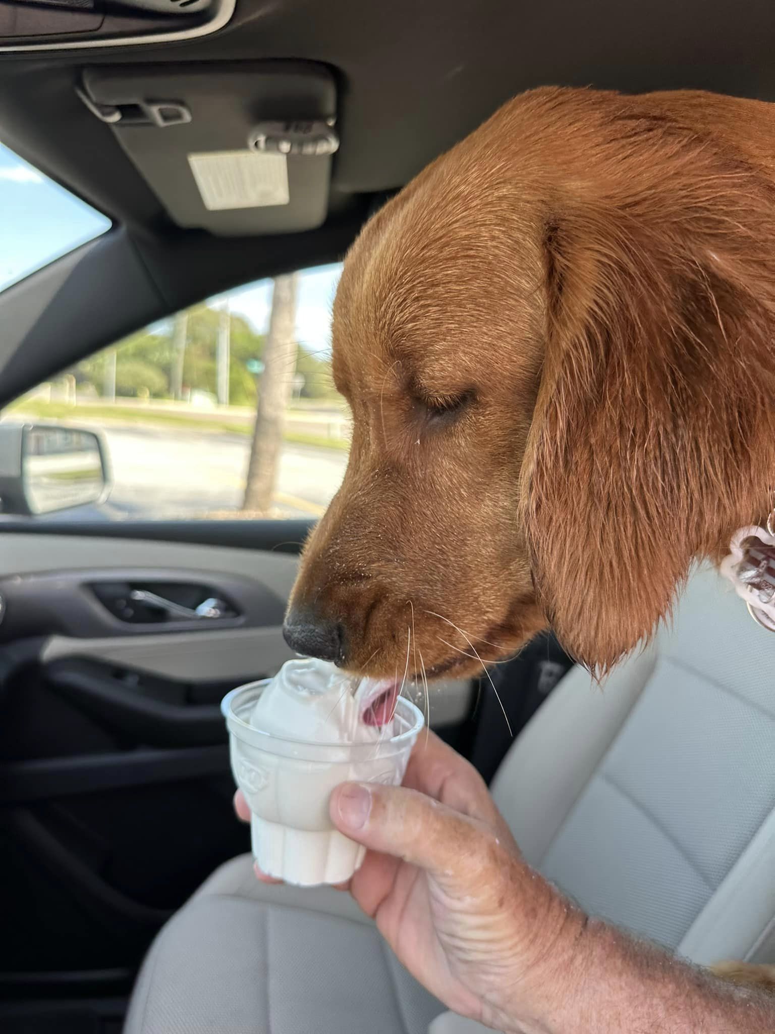 Riley’s Best Day Ever – Tue Nov 21, 2023