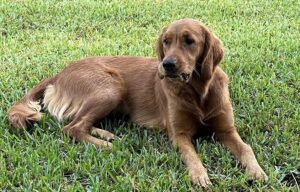 Riley’s Best Day Ever – Mon Feb 19, 2024