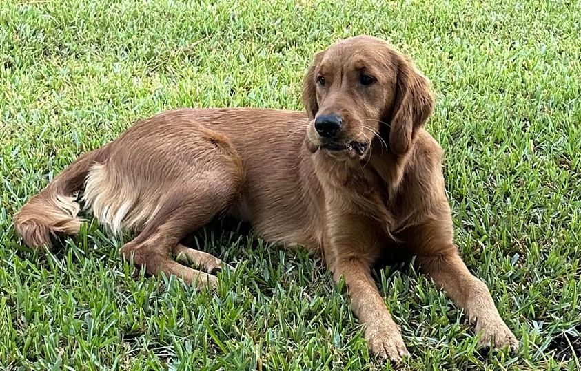 Riley’s Best Day Ever – Mon Feb 19, 2024