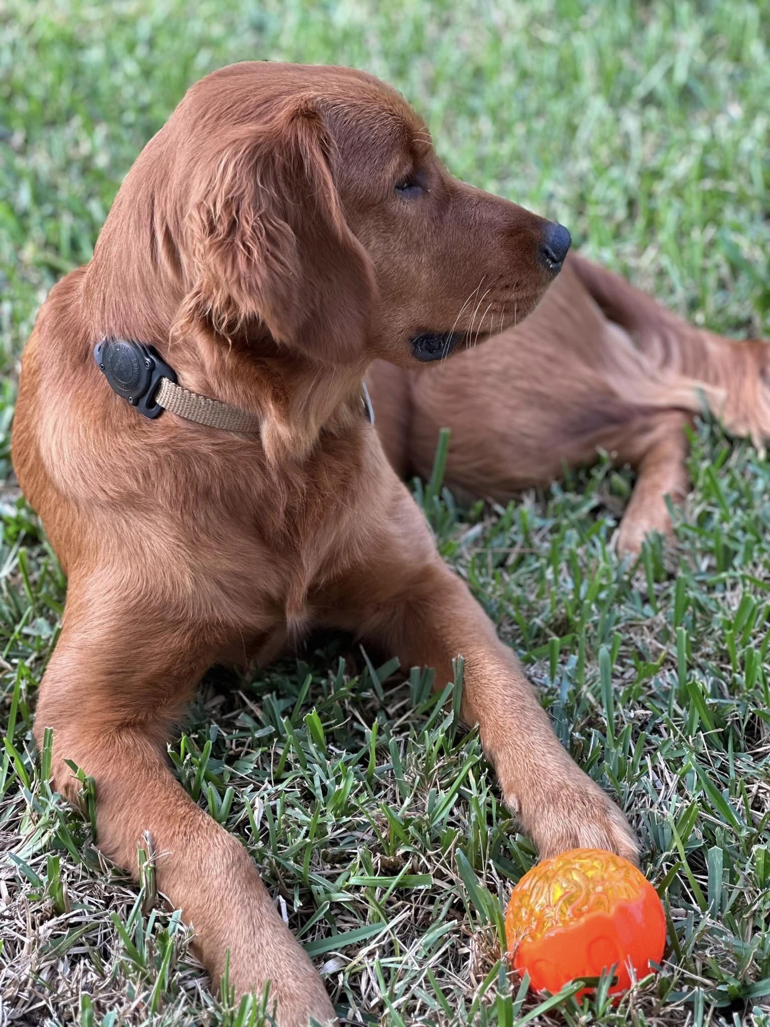 Riley’s Best Day Ever – Mon May 20, 2024