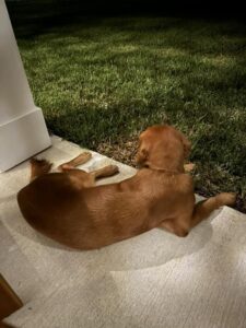 Riley’s Best Day Ever – Wed Apr 03, 2024