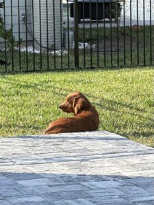 Riley’s Best Day Ever – Thu Nov 23, 2023